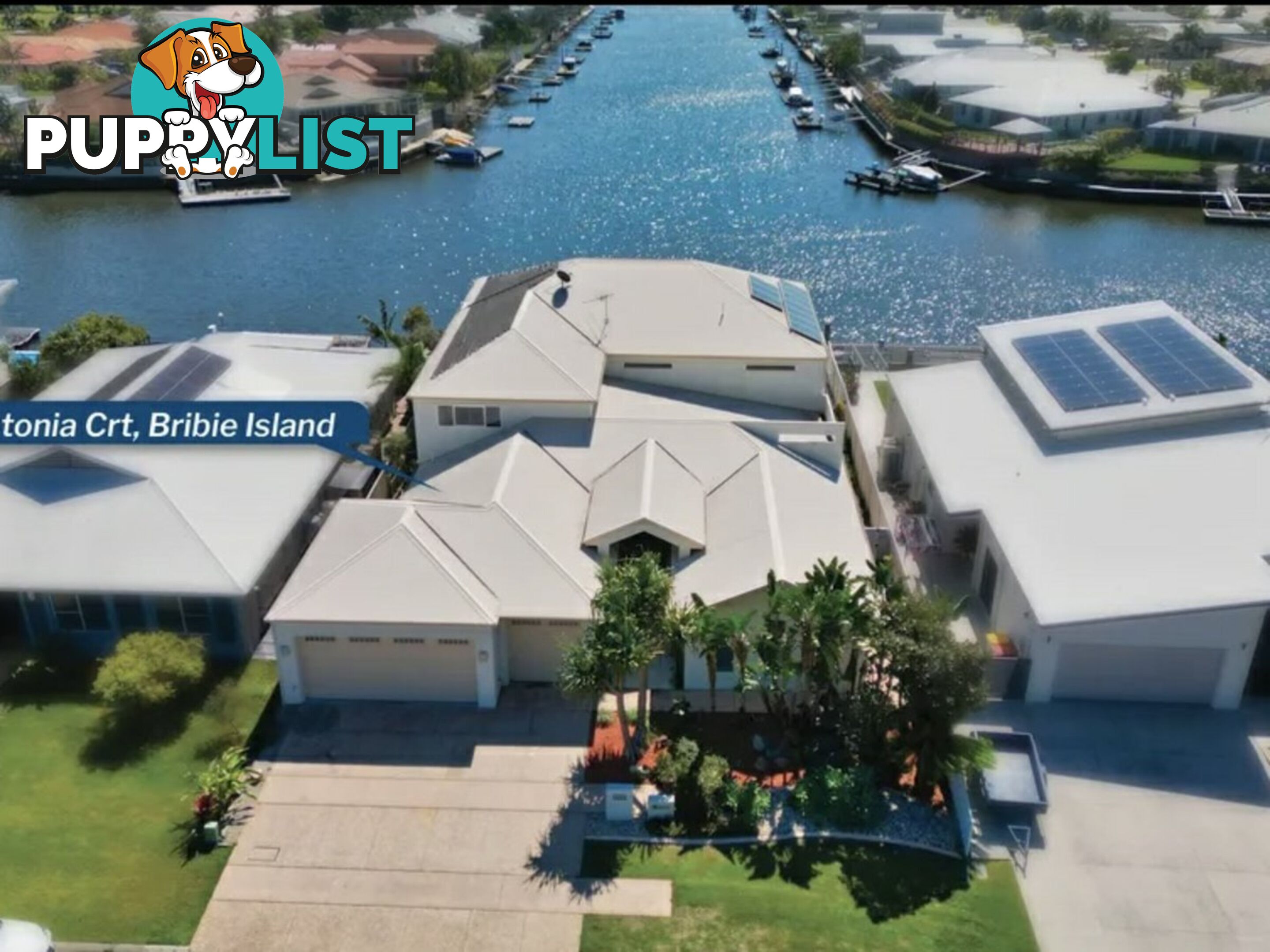 9 Alstonia Court BONGAREE QLD 4507