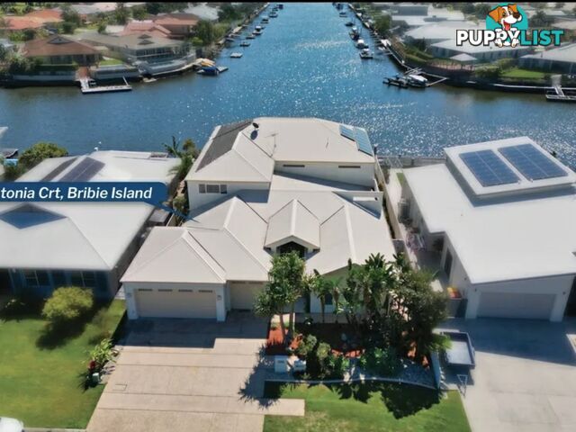 9 Alstonia Court BONGAREE QLD 4507