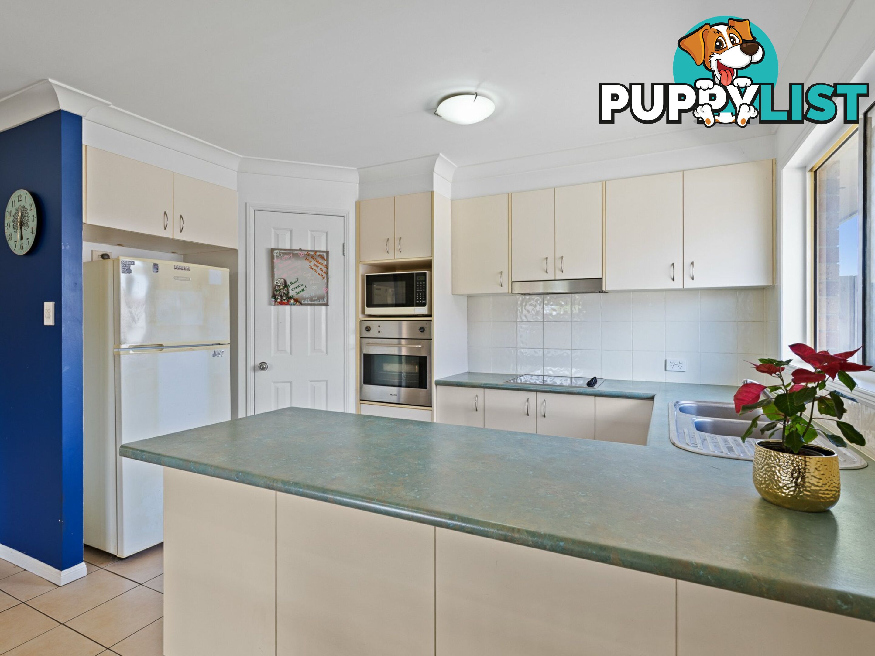 6 Macaranga Street MORAYFIELD QLD 4506