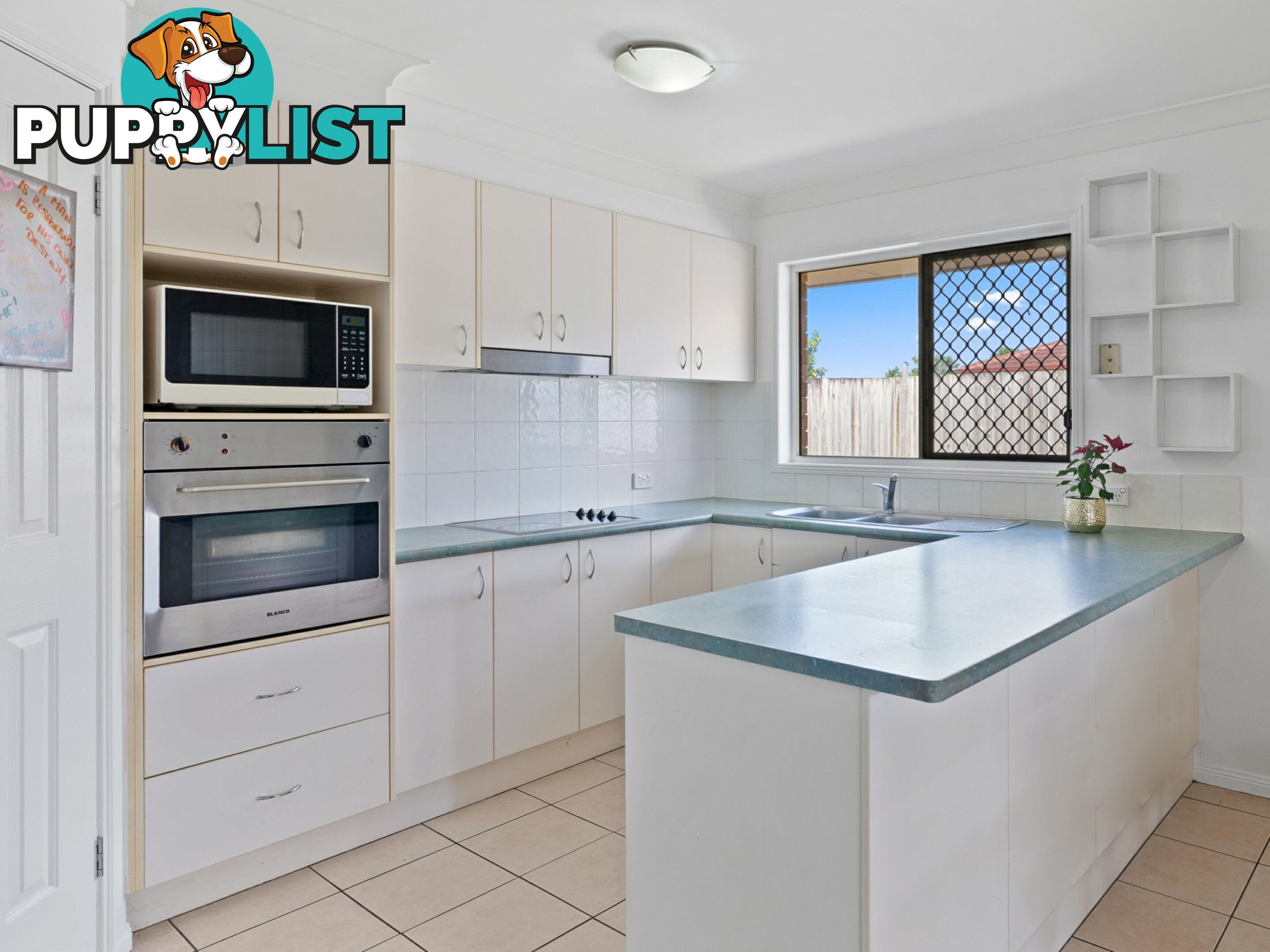6 Macaranga Street MORAYFIELD QLD 4506