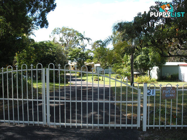 36 Coronation Avenue BEACHMERE QLD 4510