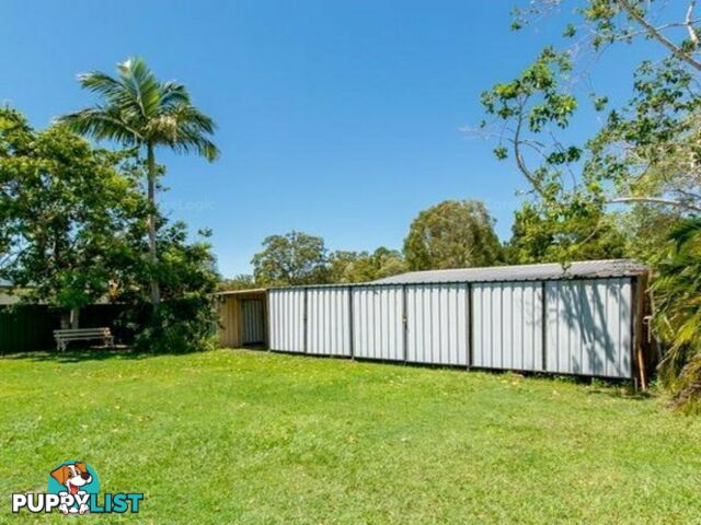 45 Ranald Avenue NINGI QLD 4511