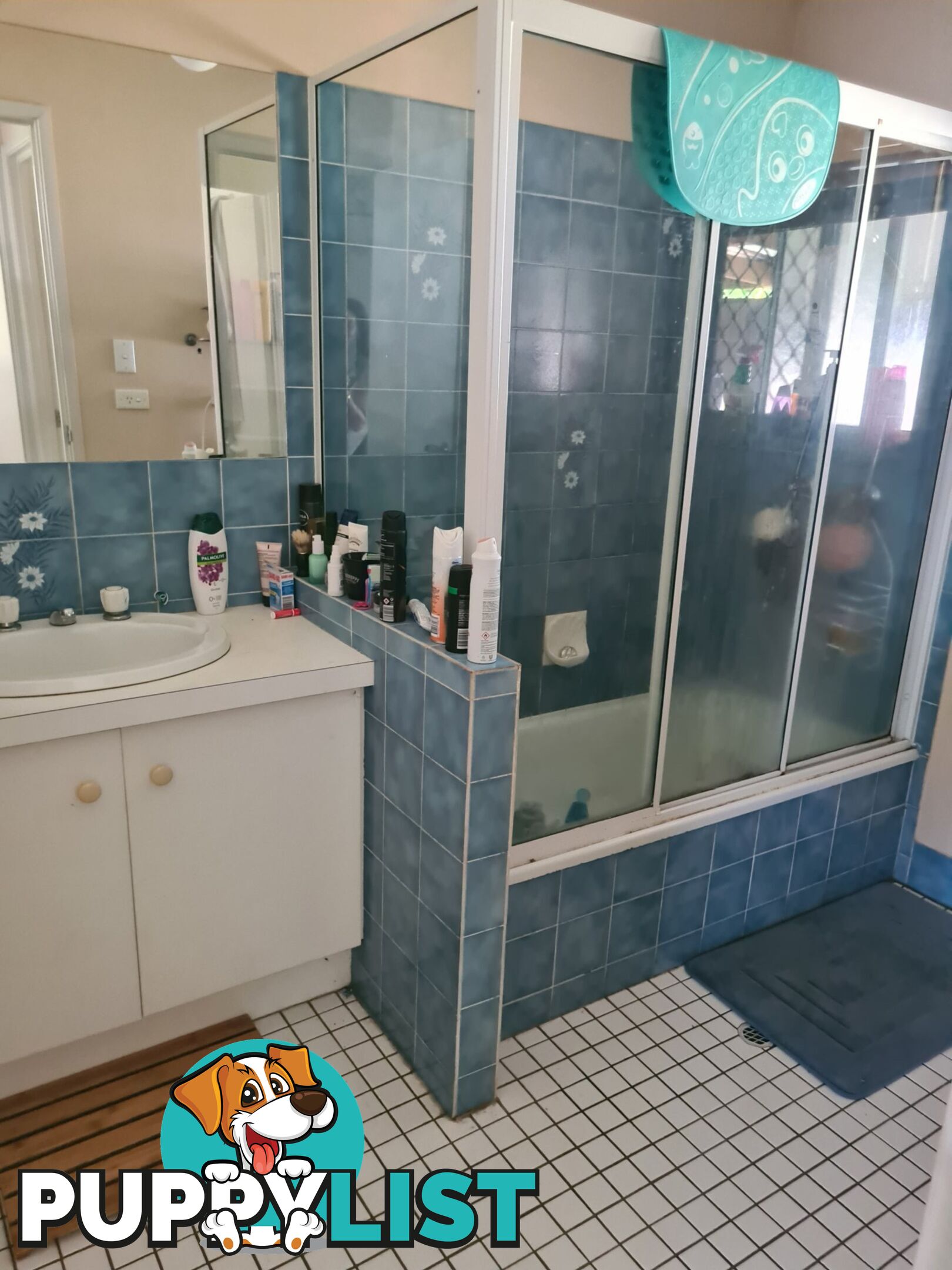 45 Ranald Avenue NINGI QLD 4511