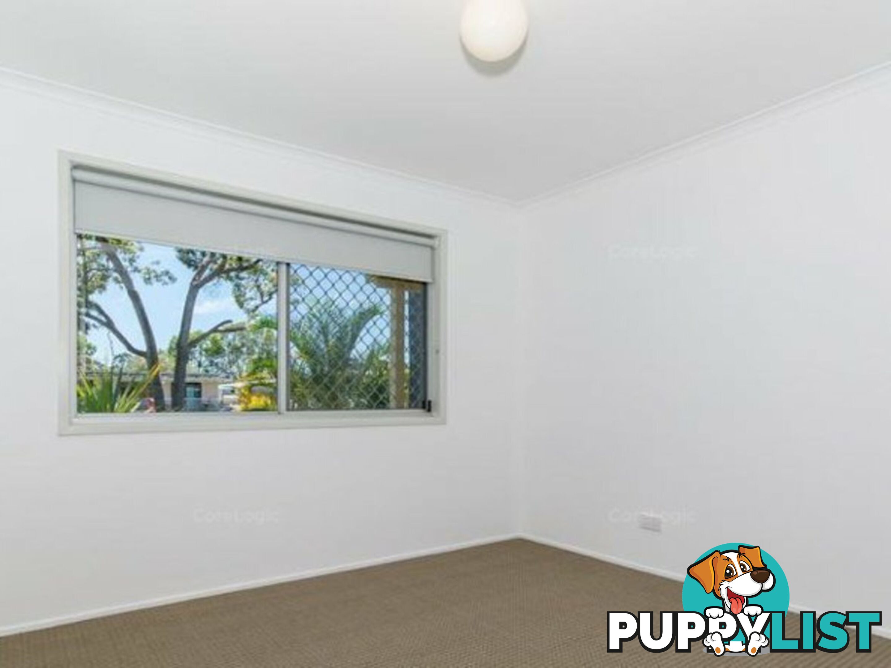 45 Ranald Avenue NINGI QLD 4511