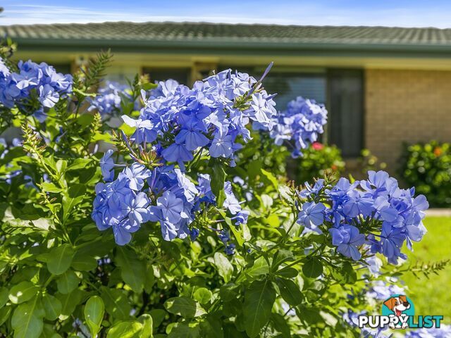 9 Fowler Drive CABOOLTURE SOUTH QLD 4510