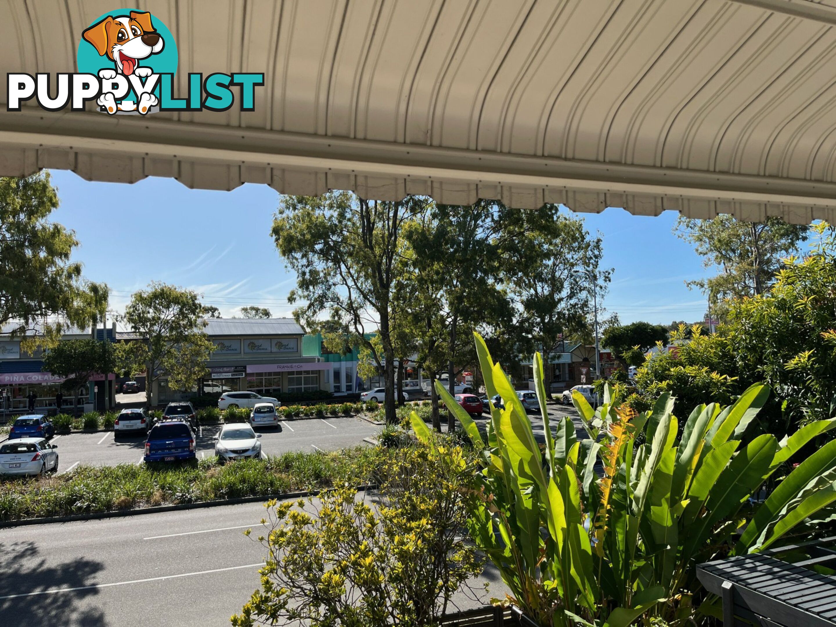 1/42 Benabrow Avenue BONGAREE QLD 4507