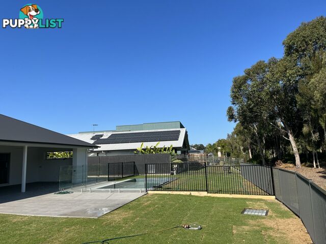 224 Freshwater Drive BANKSIA BEACH QLD 4507