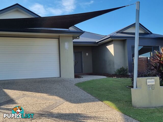 36 Barklya Crescent BONGAREE QLD 4507