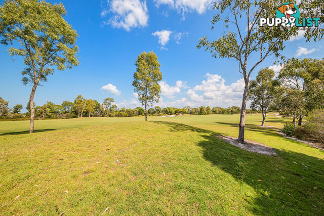 13 Vanillalily Close BANKSIA BEACH QLD 4507