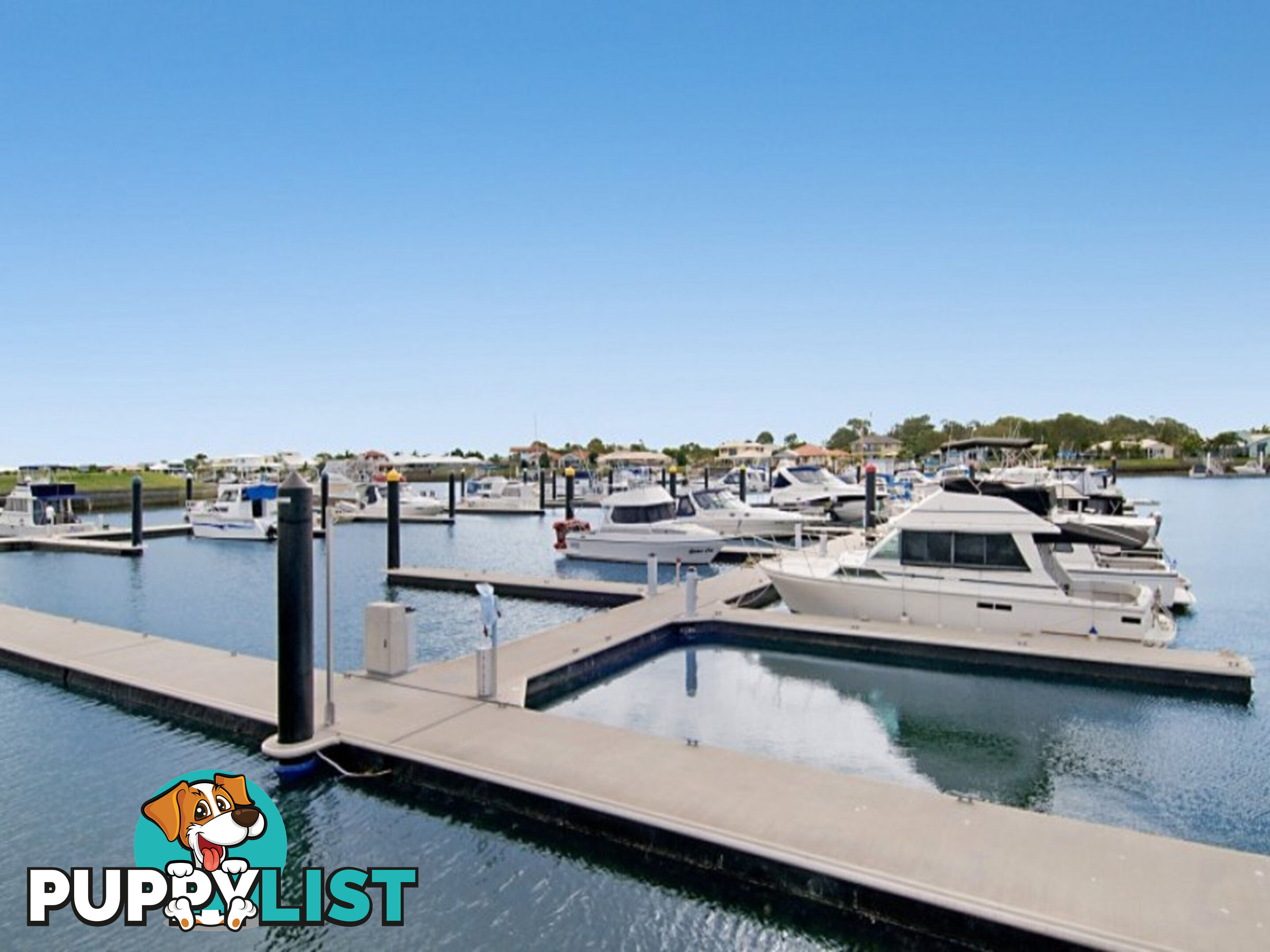 13 Vanillalily Close BANKSIA BEACH QLD 4507