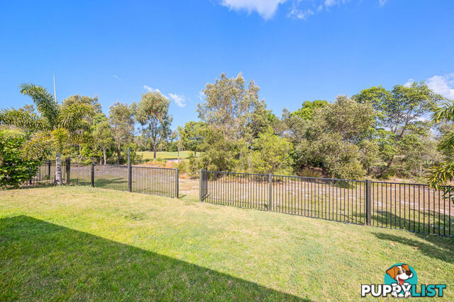 13 Vanillalily Close BANKSIA BEACH QLD 4507