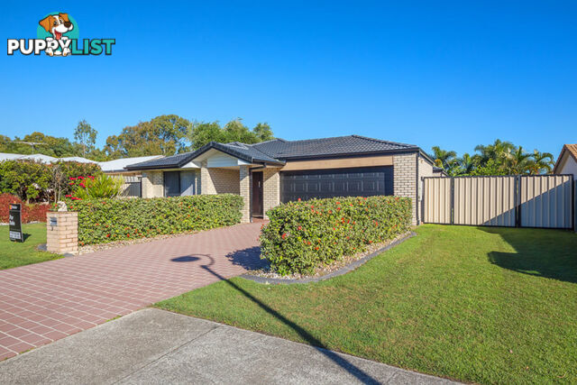 3 Middle Cove Court SANDSTONE POINT QLD 4511