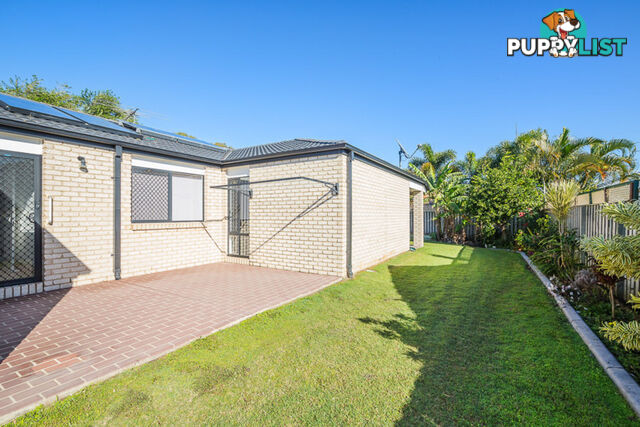 3 Middle Cove Court SANDSTONE POINT QLD 4511