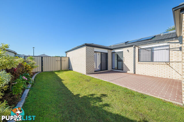 3 Middle Cove Court SANDSTONE POINT QLD 4511