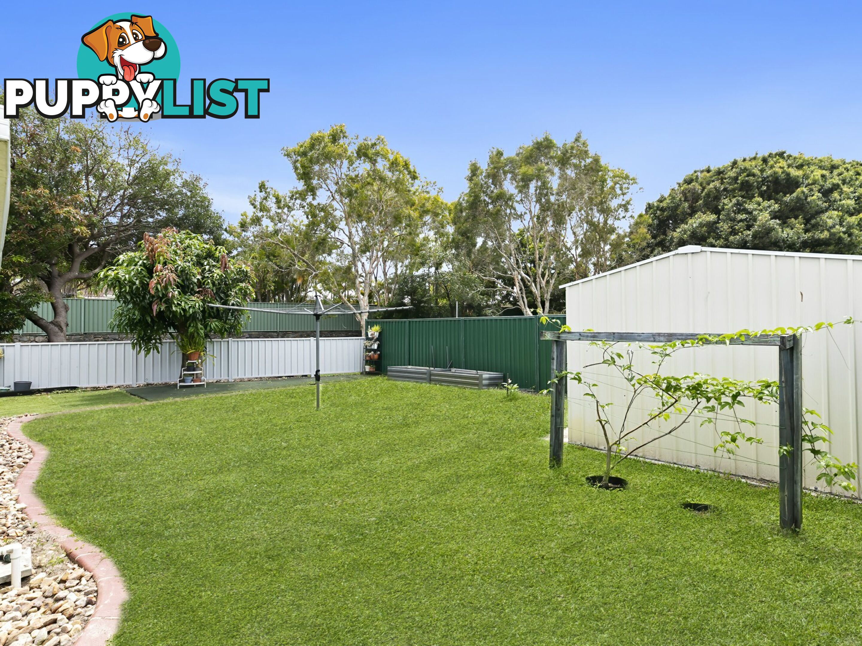 95 Eucalypt street BELLARA QLD 4507