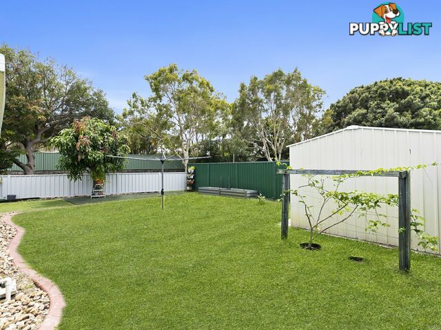 95 Eucalypt street BELLARA QLD 4507