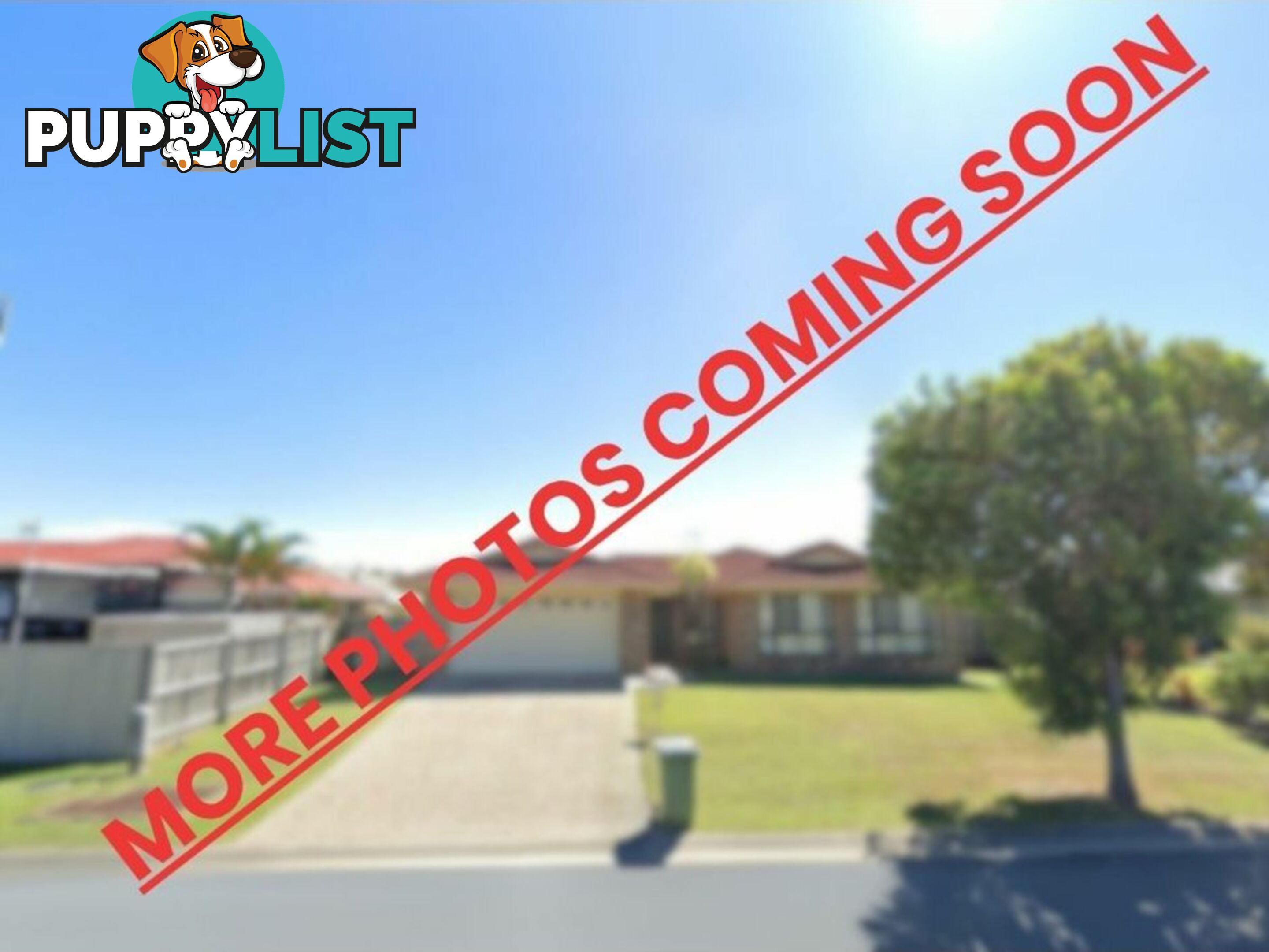 127 Cotterill Avenue BONGAREE QLD 4507
