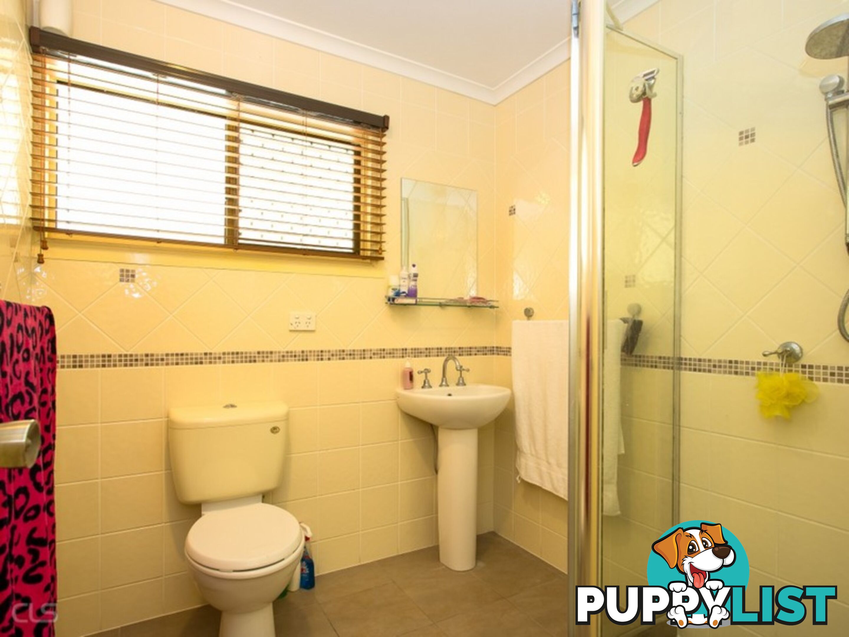 36 Patrick Street BEACHMERE QLD 4510