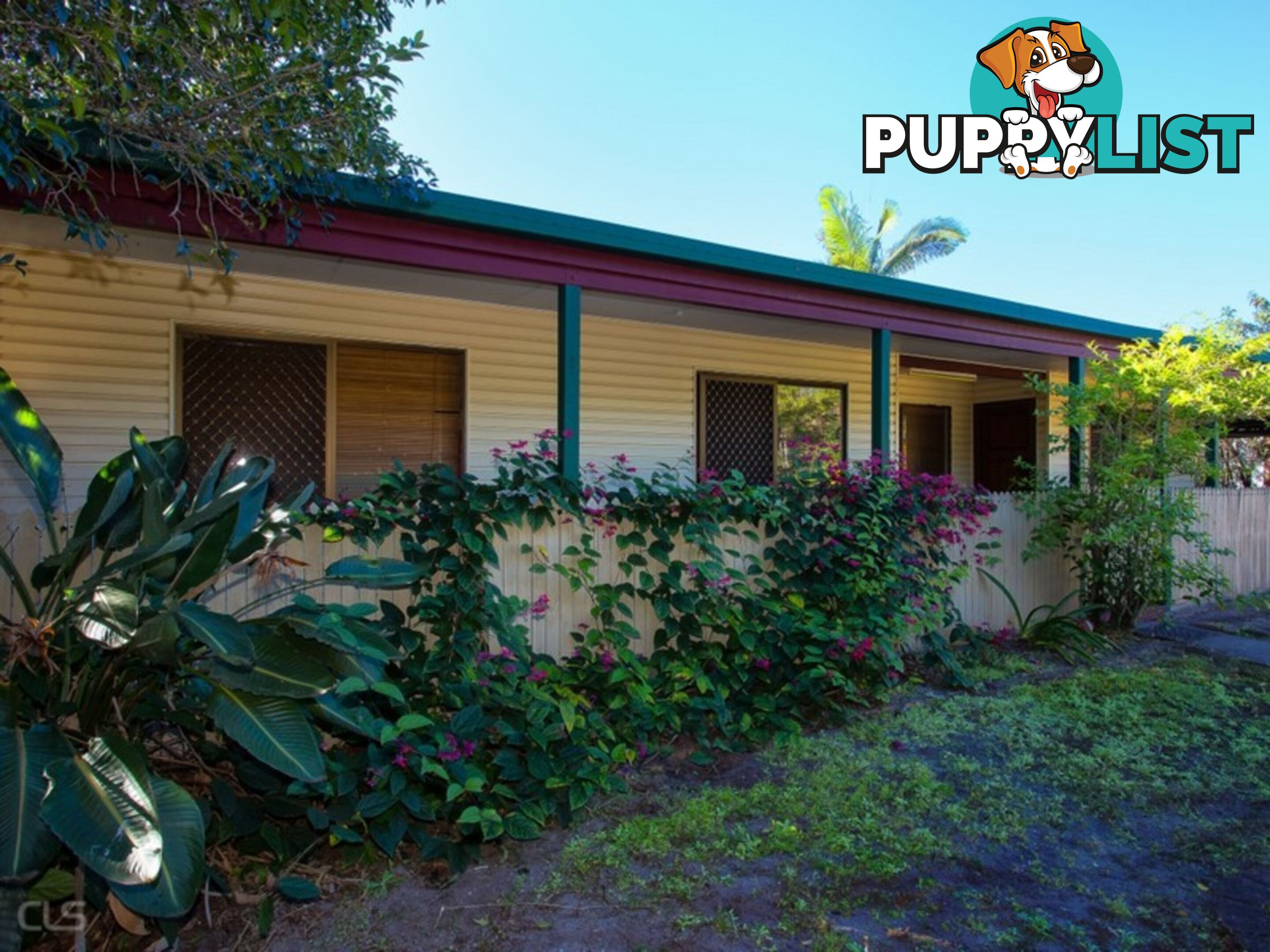 36 Patrick Street BEACHMERE QLD 4510