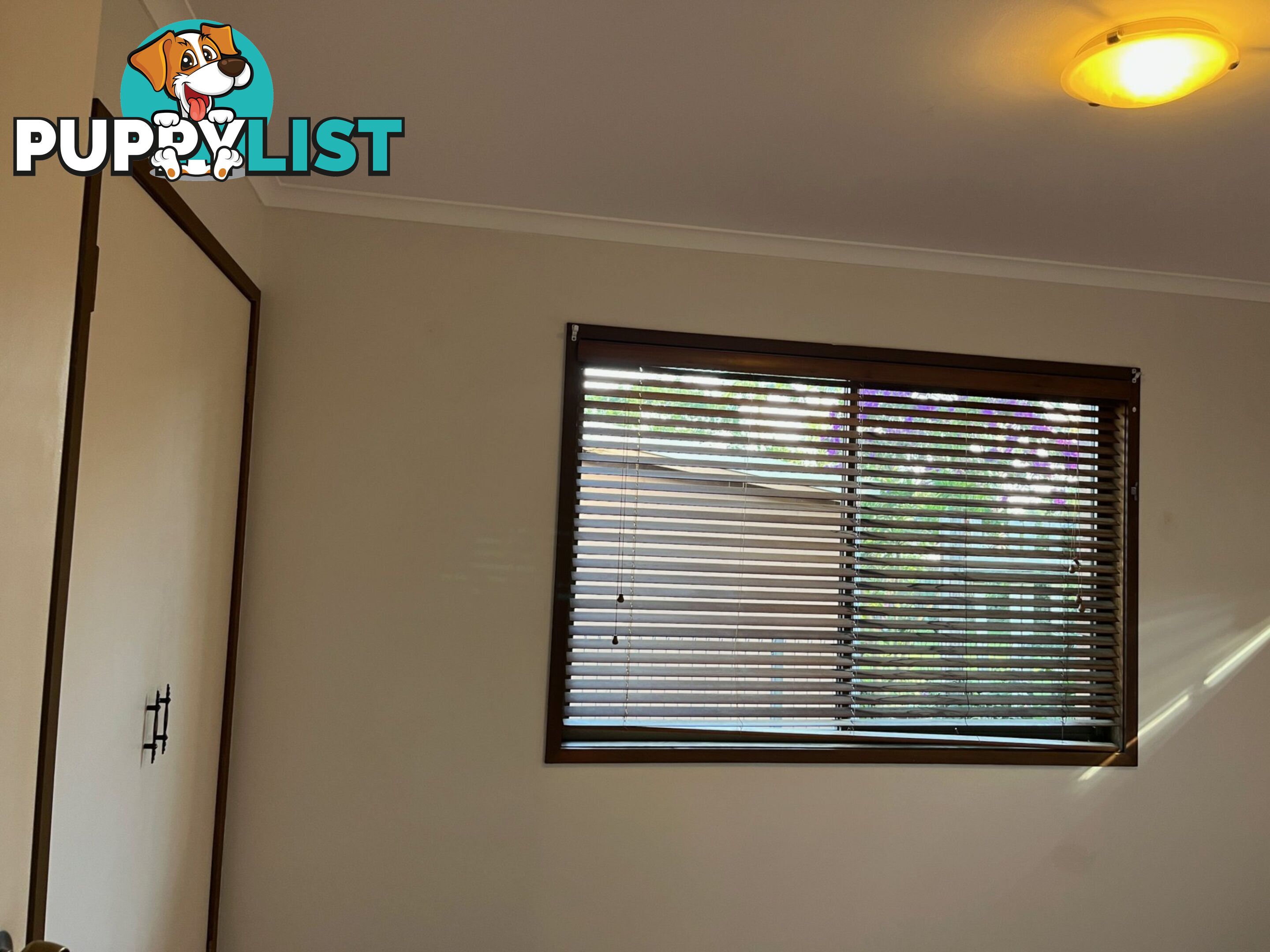 35 Dianthus Avenue BANKSIA BEACH QLD 4507