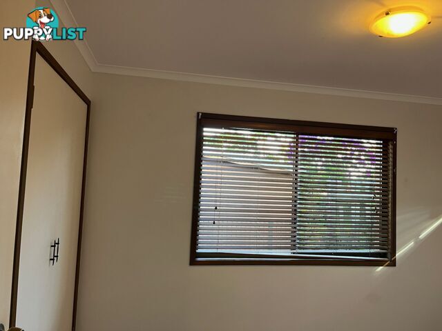 35 Dianthus Avenue BANKSIA BEACH QLD 4507