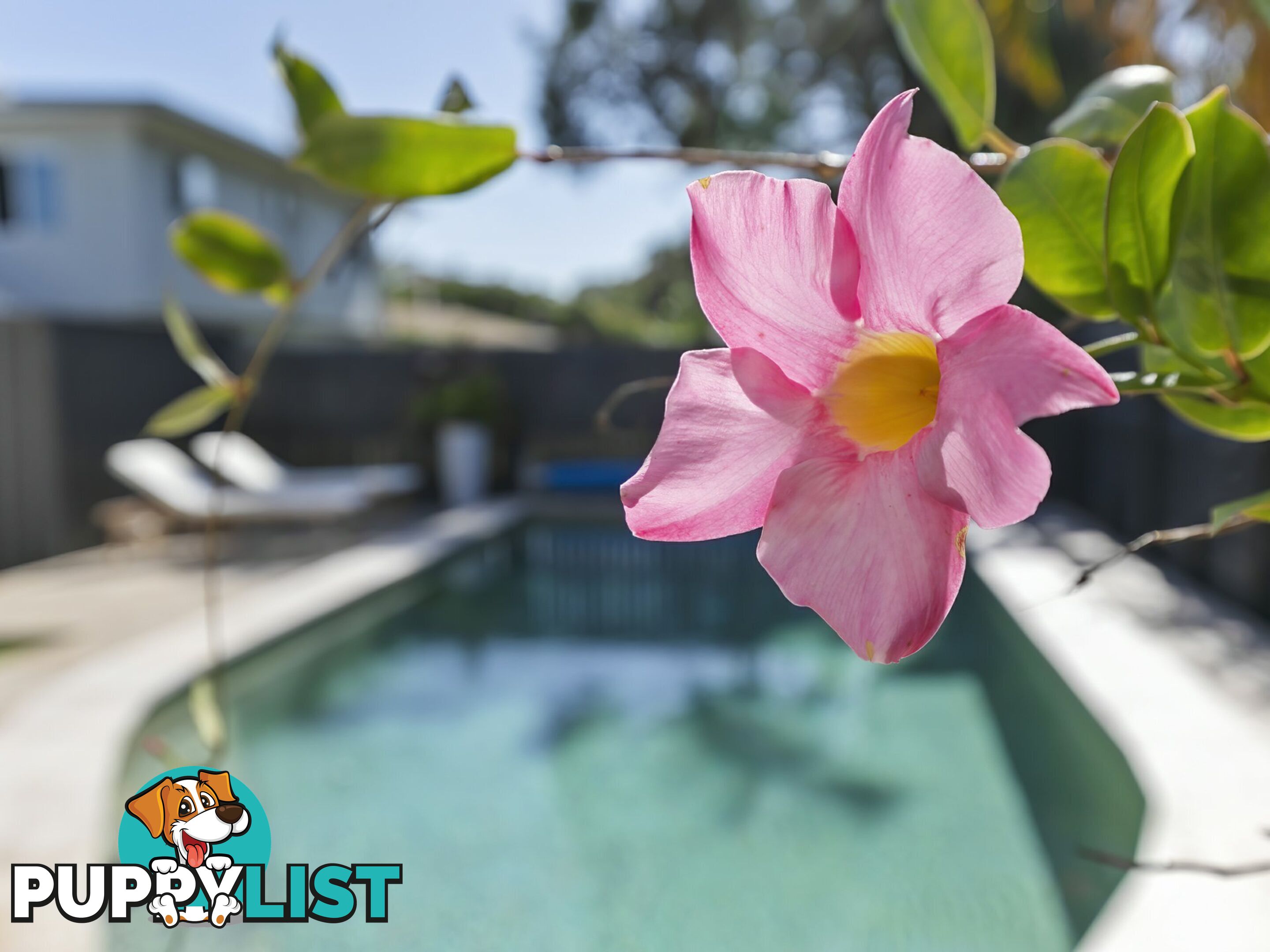 13 Wallimbi Avenue BELLARA QLD 4507