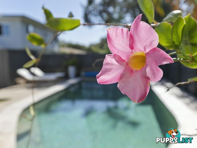 13 Wallimbi Avenue BELLARA QLD 4507