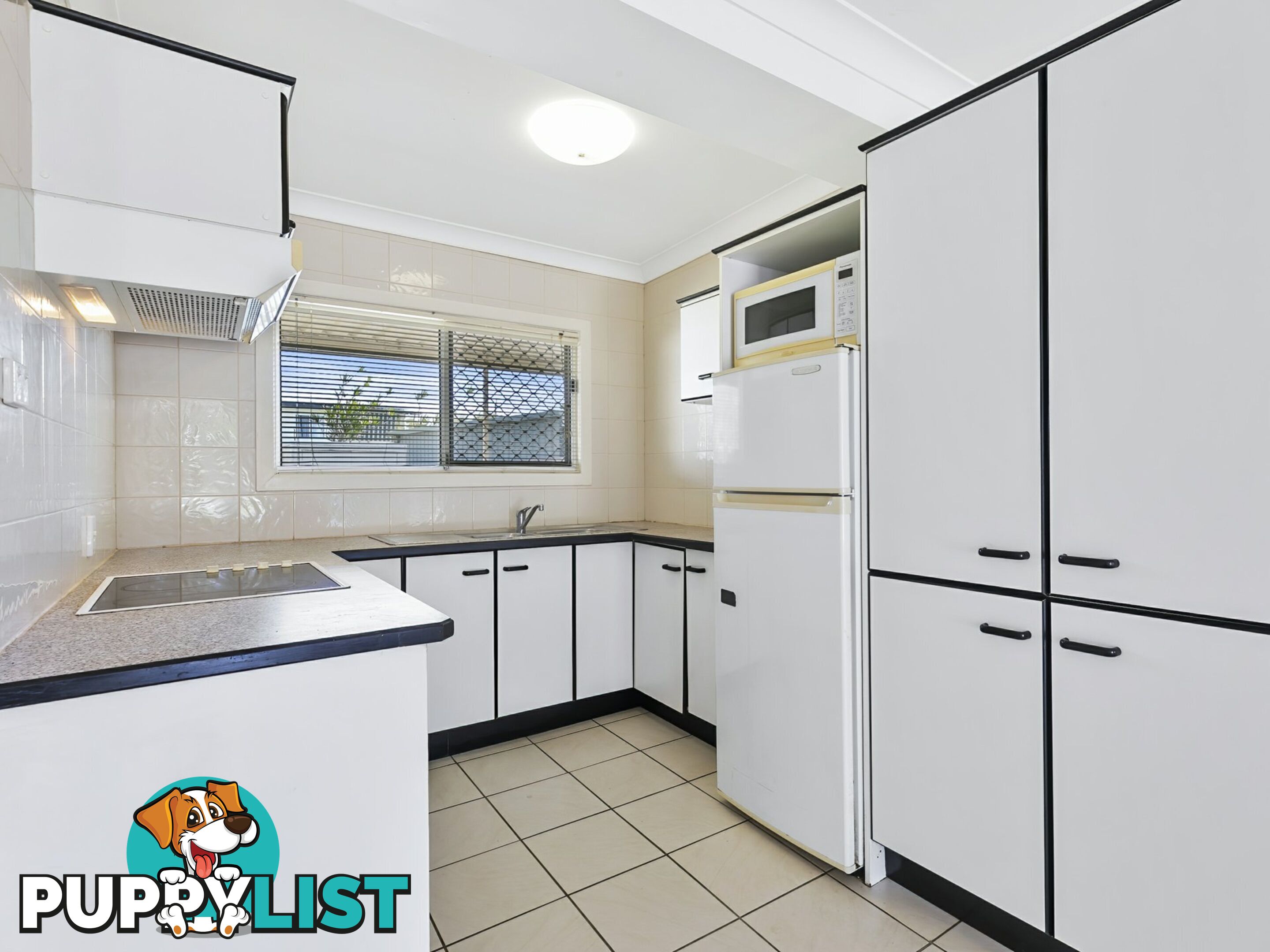 46 Jabiru Street BELLARA QLD 4507