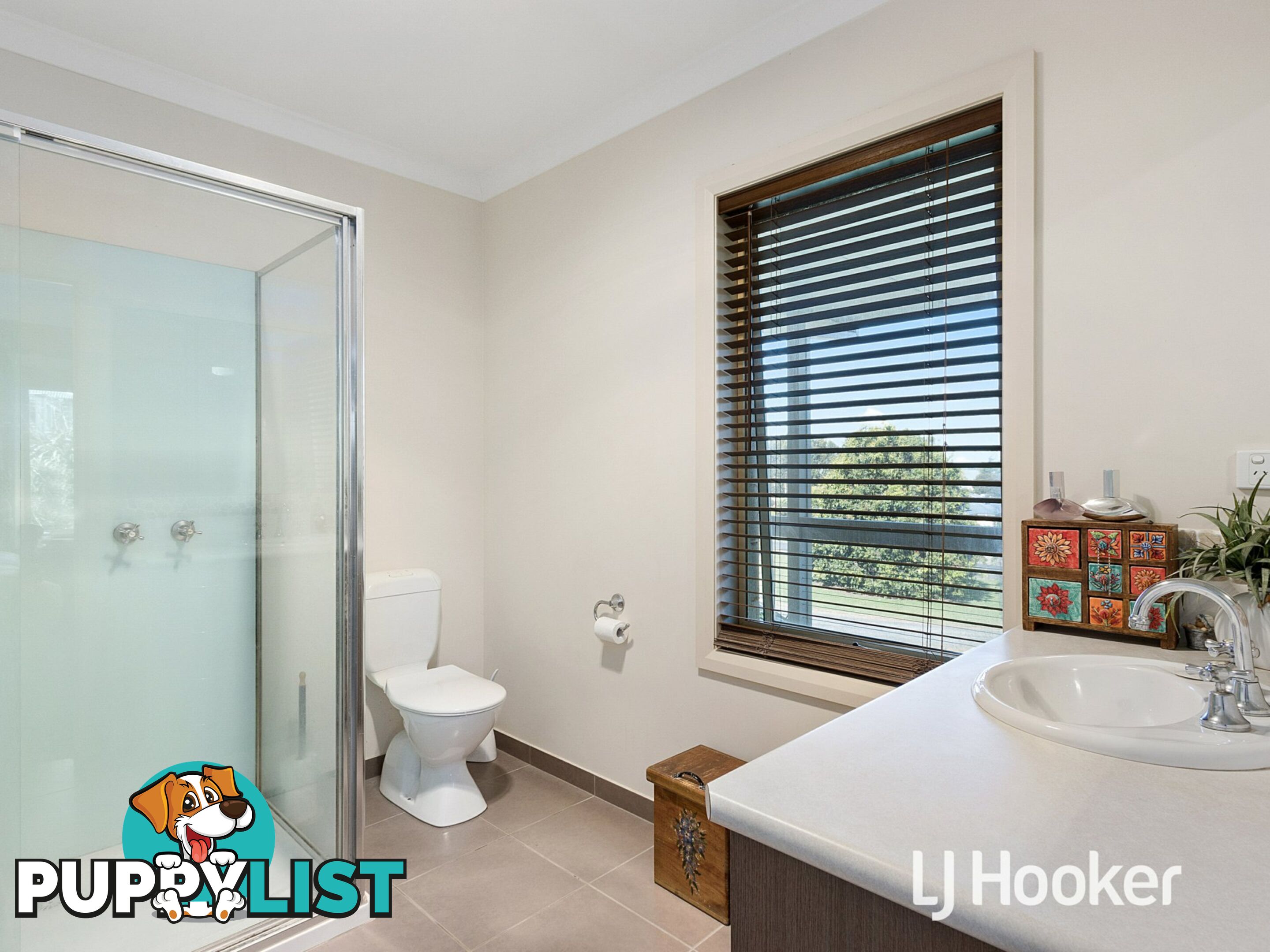 95 Betula Drive POOWONG VIC 3988