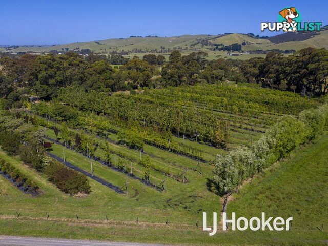 347 McKenzie Road GLEN FORBES VIC 3990