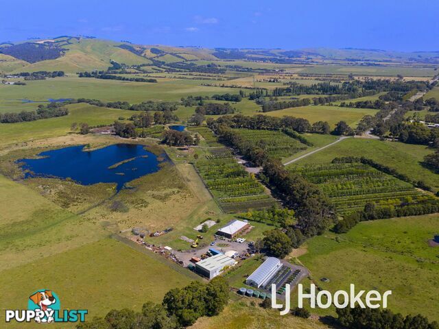 347 McKenzie Road GLEN FORBES VIC 3990