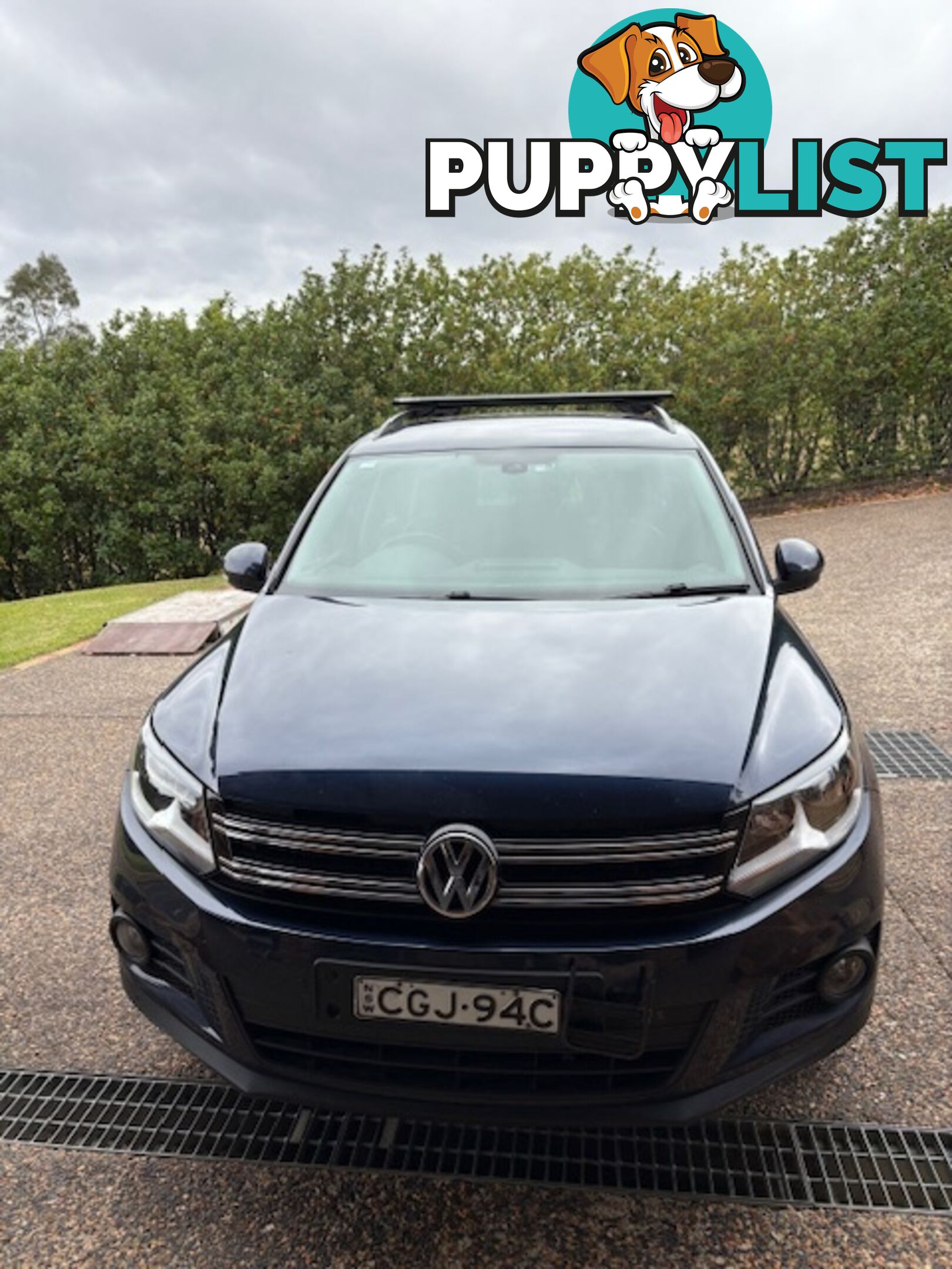 2012 Volkswagen Tiguan Wagon Automatic