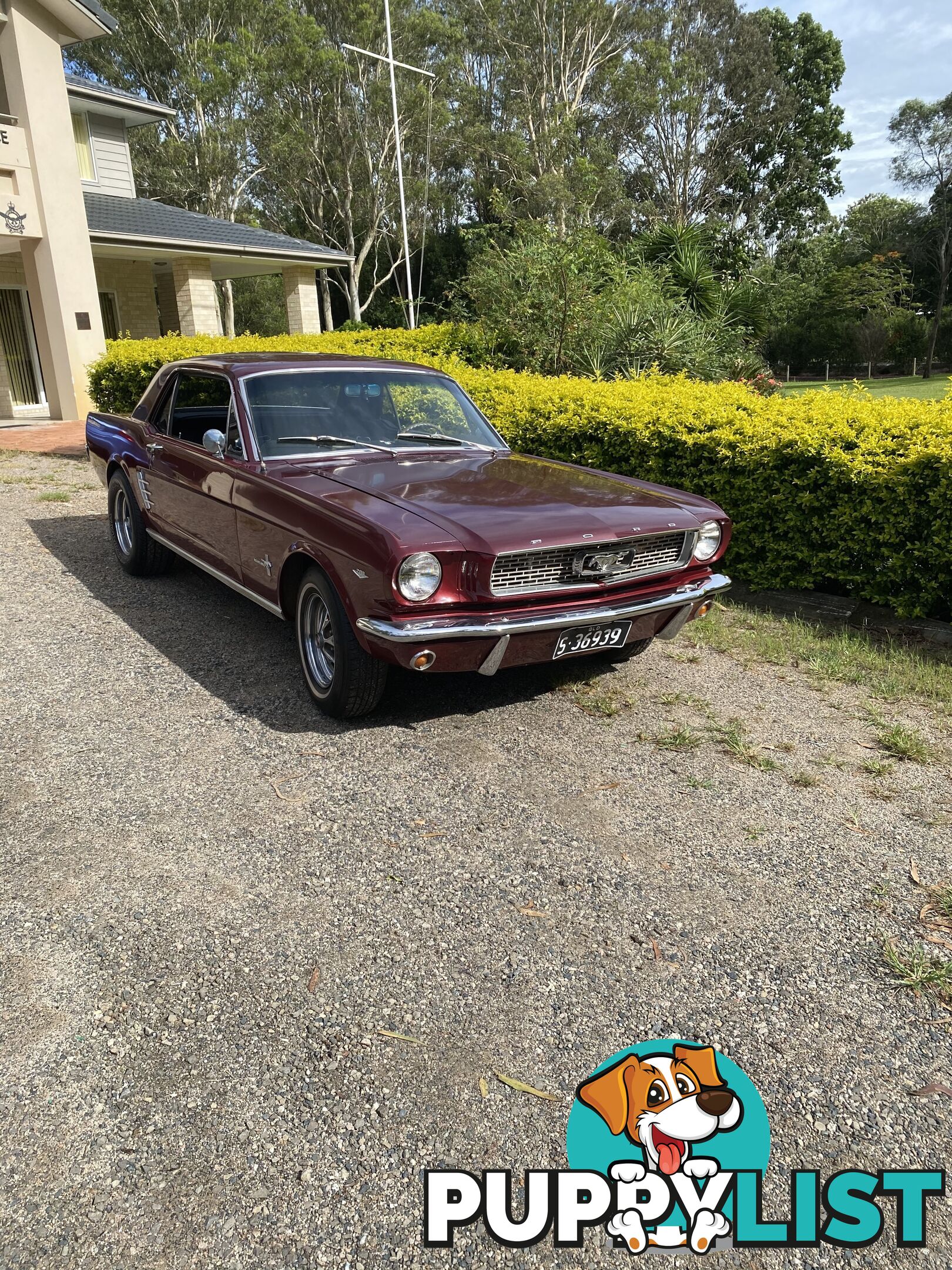 1966 Ford Mustang Coupe Automatic