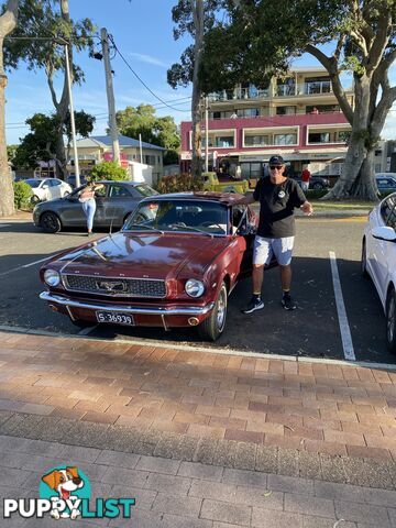 1966 Ford Mustang Coupe Automatic