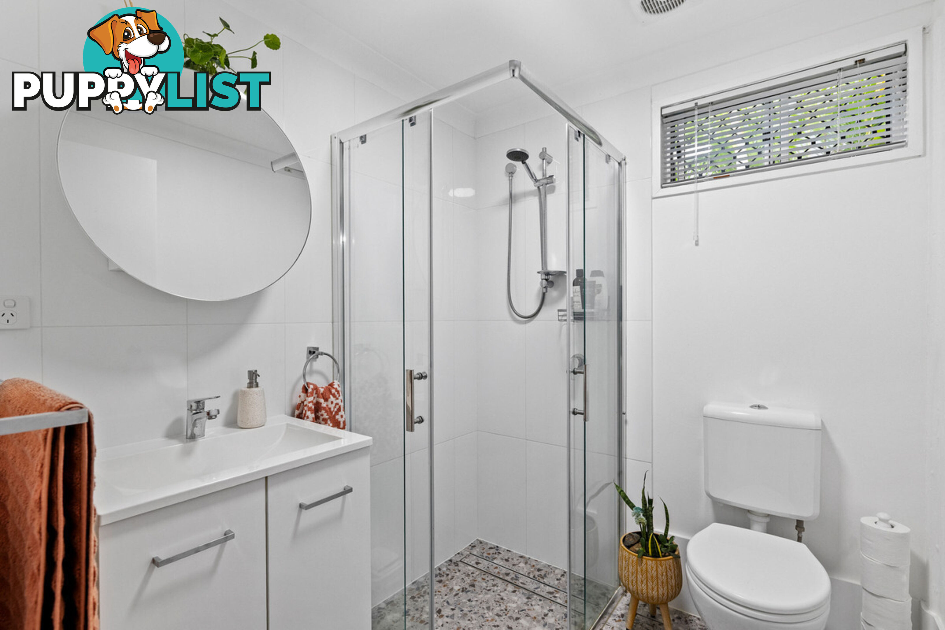 89 Cavell Street BIRKDALE QLD 4159
