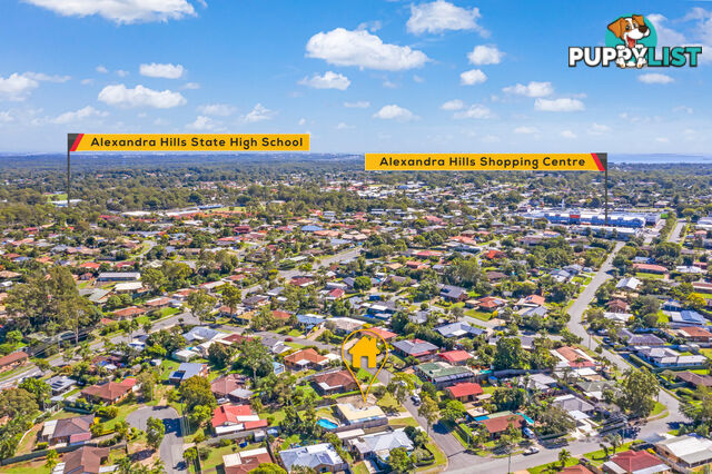 13 Borrowdale Street ALEXANDRA HILLS QLD 4161