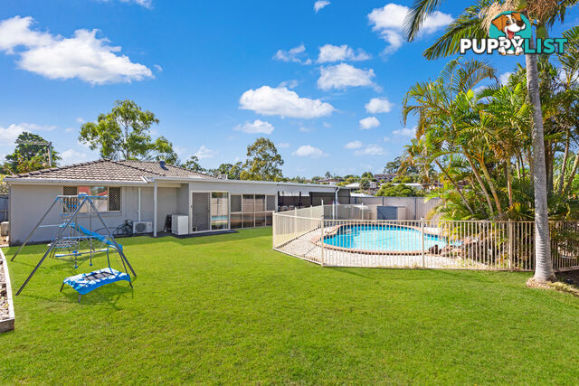 13 Borrowdale Street ALEXANDRA HILLS QLD 4161