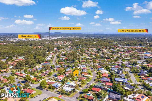 13 Borrowdale Street ALEXANDRA HILLS QLD 4161