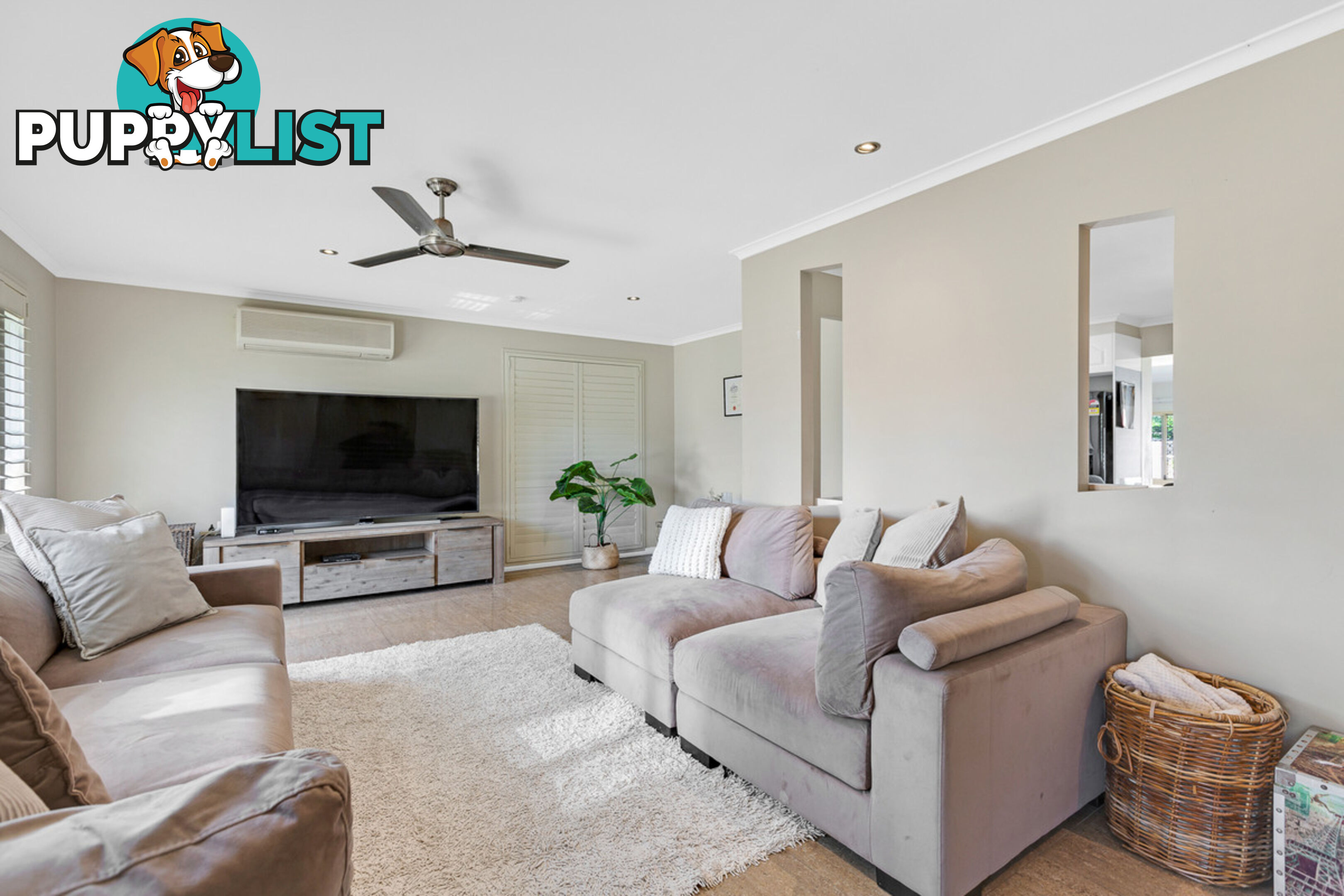 13 Borrowdale Street ALEXANDRA HILLS QLD 4161