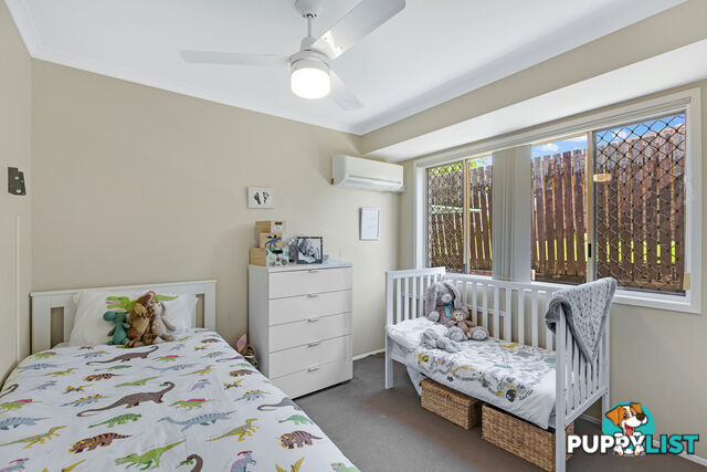 13 Borrowdale Street ALEXANDRA HILLS QLD 4161