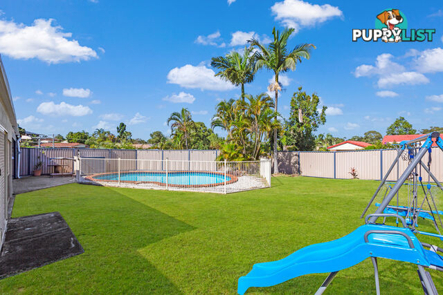 13 Borrowdale Street ALEXANDRA HILLS QLD 4161