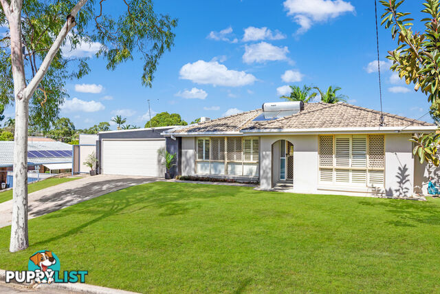 13 Borrowdale Street ALEXANDRA HILLS QLD 4161