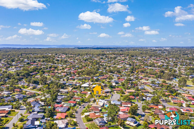 13 Borrowdale Street ALEXANDRA HILLS QLD 4161