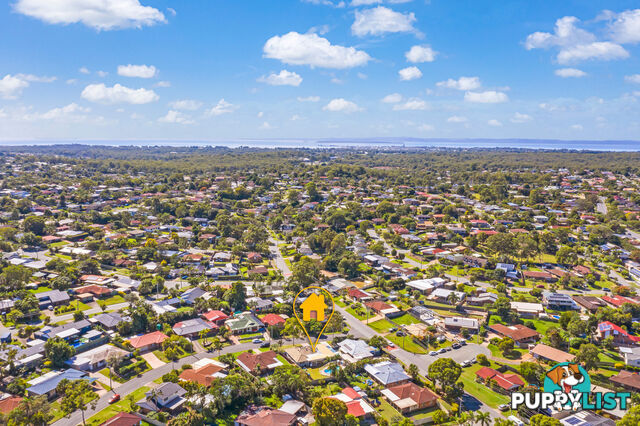 13 Borrowdale Street ALEXANDRA HILLS QLD 4161