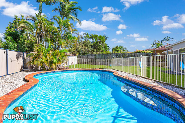 13 Borrowdale Street ALEXANDRA HILLS QLD 4161