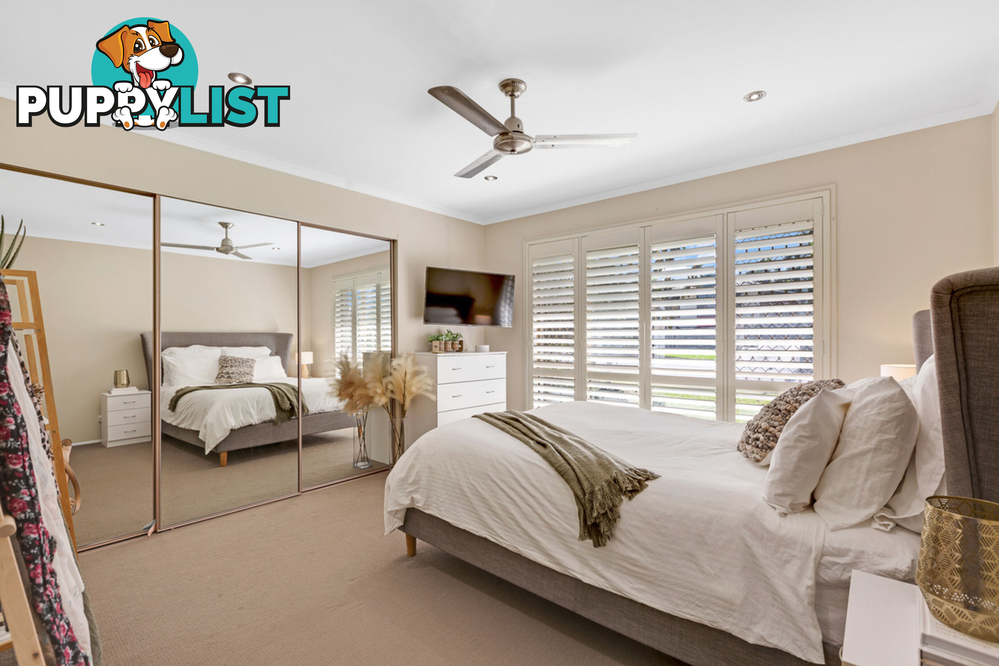 13 Borrowdale Street ALEXANDRA HILLS QLD 4161