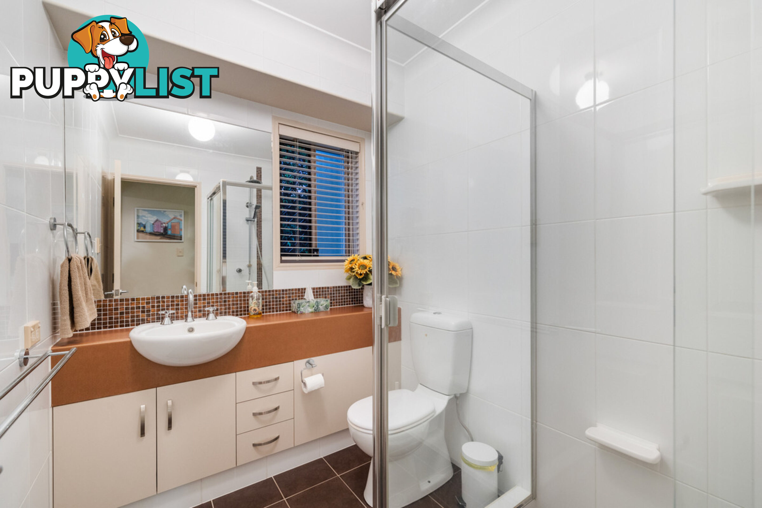 2 Drysdale Close THORNLANDS QLD 4164