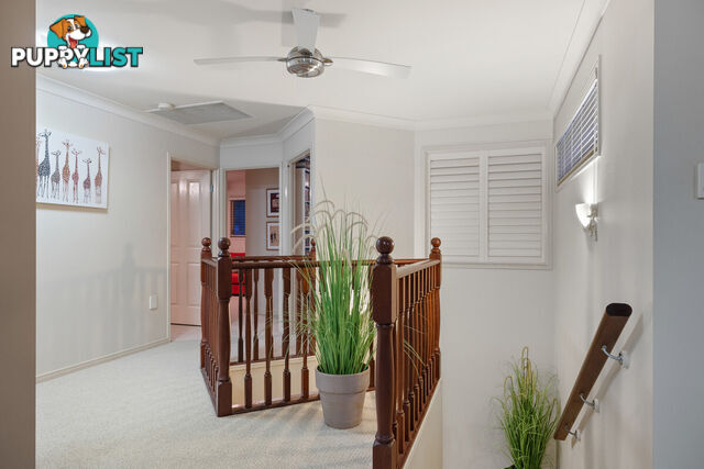 2 Drysdale Close THORNLANDS QLD 4164