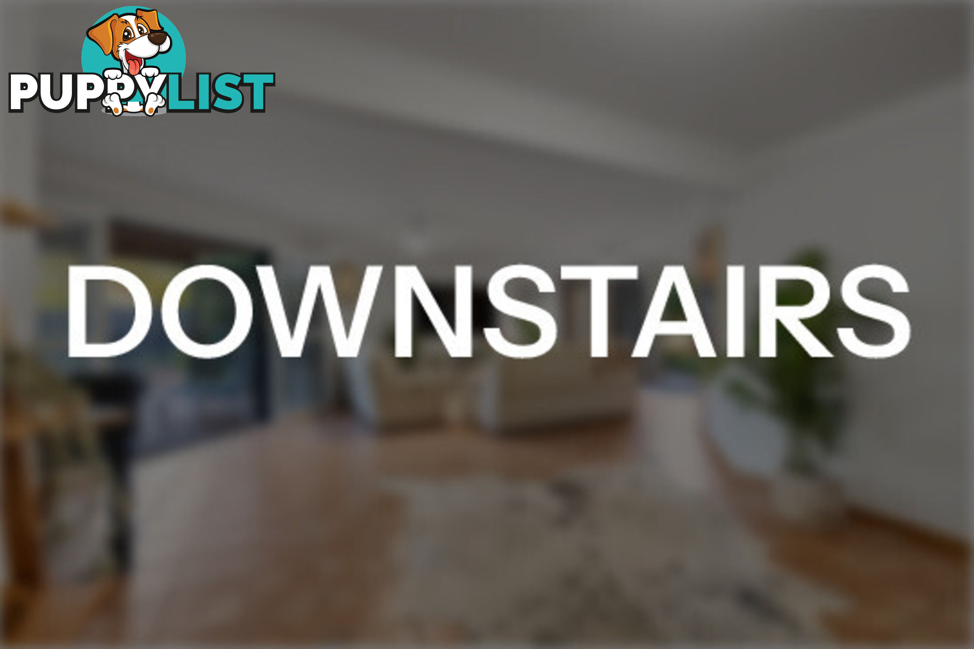 5 Kilroe Court ORMISTON QLD 4160