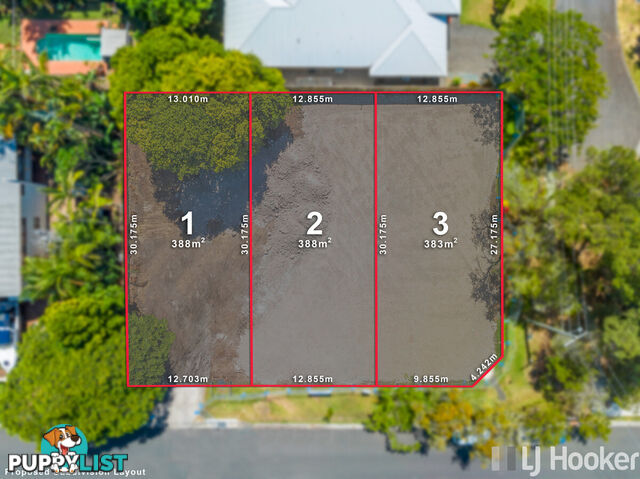 7 Paxton Street CLEVELAND QLD 4163